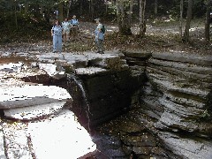 Gayle Ellsworth; Patty Millard; Ruth Bennett McDougal Dorrough; Jay Zitter; Schuyler County Hike Series; The turtles