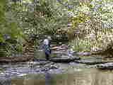 Ruth Bennett McDougal Dorrough; Hiking FLT M14 Glen Creek