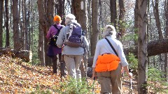 Lyn Jacobs; Jean Bub; Ruth Bennett McDougal Dorrough; NCT/FLT CR 22