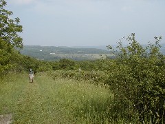 Schuyler County Hike Series