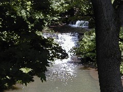 Schuyler County Hike Series Burdett FLT NCT FLT M15