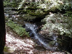 Schuyler County Hike Series Burdett FLT NCT FLT M15