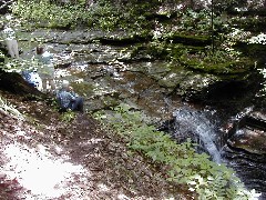 Patty Millard; Ruth Bennett McDougal Dorrough; Schuyler County Hike Series Burdett FLT NCT FLT M15