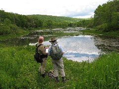 Lyn Jacobs; Dan Dorrough; FLT; M-15, NY