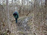 Ruth Bennett McDougal Dorrough; Finger Hiking Hines Lakes Road Trail M16