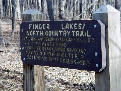 Hiking FLT M16 Ithaca- Hines Road