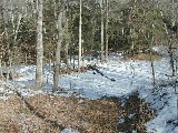 Ruth Bennett McDougal Dorrough; Hiking FLT M16 Ithaca- Hines Road