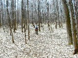 Finger Hiking Lakes Laura MacGuires Trail FLT M16