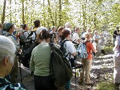 Hiking NCT FLT M16 Laura MacGuires Trail; FLT Group Hike Across Tompkin s County