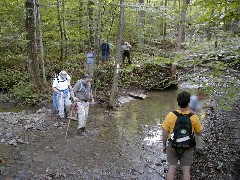 Hiking NCT FLT M16 Laura MacGuires Trail; FLT Group Hike Across Tompkins County