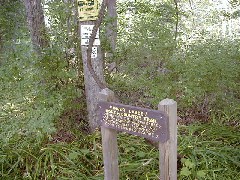 Hiking NCT FLT M16 Robert Treman State Park sign