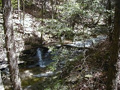 Schuyler County Hike Series M16 FLT NCT Hiking