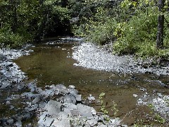 Schuyler County Hike Series