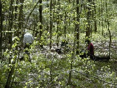 Schuyler County Hike Series