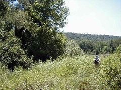 Ruth Bennett McDougal Dorrough; Hiking NCT FLT M17