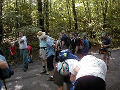 Tompkins County Hike Series FLT Hiking FLT M17