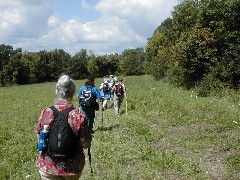 Tompkins County Hike Series FLT Hiking FLT M17