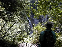 Hiking NCT FLT M17 Tompkins county group hike