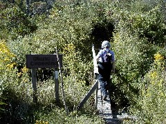 Ruth Bennett McDougal Dorrough; Hiking NCT FLT M17