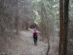 Ruth Bennett McDougal Dorrough; Hiking NCT FLT M17