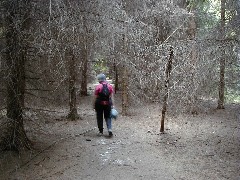 Ruth Bennett McDougal Dorrough; Hiking NCT FLT M17