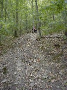 Finger Hiking Lakes Pa Trail M17