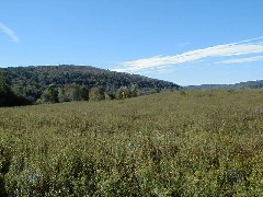 Finger Hiking Lakes FLT Trail M18 PA