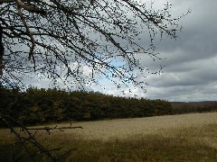 Finger Lakes