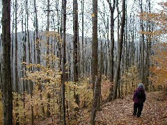 Ruth Bennett McDougal Dorrough; Hiking NCT FLT M18