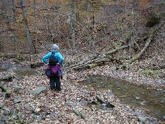 Ruth Bennett McDougal Dorrough; Hiking NCT FLT M18