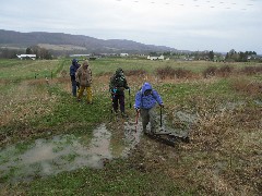 Cortland Country Hike Series; NCT; FLT; M-19