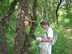 Cortland County Hike Series; Trail Register; JoAnn