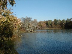 Finger Hiking Trail FLT Lakes M19