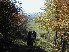 Finger Hiking Trail FLT group hike Cortland County Lakes M19 PA