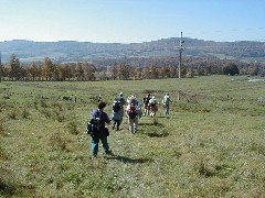 Finger Hiking Trail FLT Cortland County field group hike Lakes M19 PA