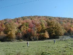 Finger Hiking Trail FLT Cortland County field group hike Lakes M19 PA