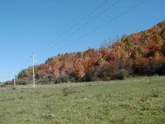 Finger Hiking Trail FLT Cortland County field group hike Lakes M19 PA