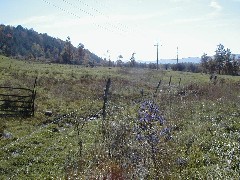 Finger Hiking Trail FLT Cortland County field group hike Lakes M19 PA