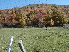 Finger Hiking Trail FLT Cortland County field group hike Lakes M19 PA