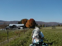 Finger Hiking Trail FLT Cortland County field group hike Lakes M19 PA