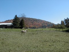 Finger Hiking Trail FLT Cortland County horse Lakes M19 PA