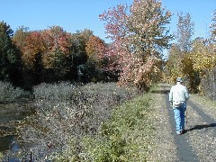 Finger Hiking Trail FLT Cortland County Lakes M19 PA