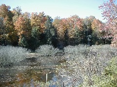 Finger Hiking Trail FLT Cortland County Lakes M19 PA