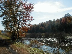 Finger Hiking Trail FLT Cortland County Lakes M19 PA