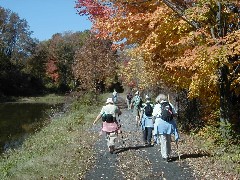 Finger Hiking Trail FLT Cortland County group hike Lakes M19 PA