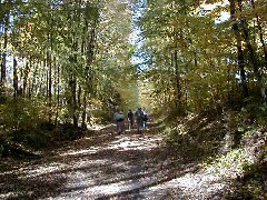 Finger Hiking Trail FLT Cortland County group hike Lakes M19 PA