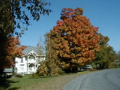 Finger Hiking Lakes PA Trail M19