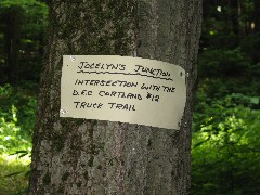 Cortland County Hike Series; Jocelyn s Junction