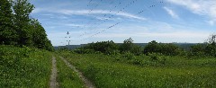 Cortland County Hike Series; power line