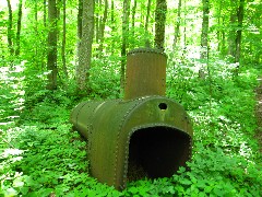 Cortland County Hike Series; old boiler